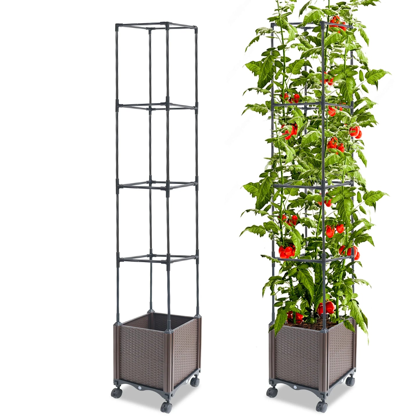 Tomato Planter With Trellis