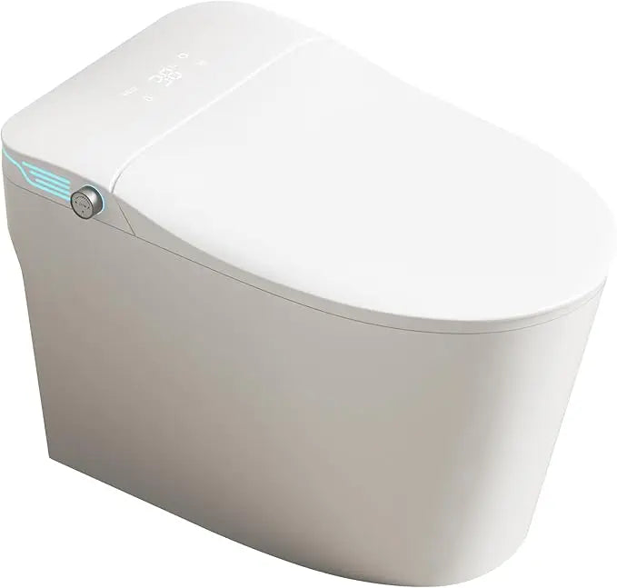 Elongated Smart Toilet with Bidet Built in