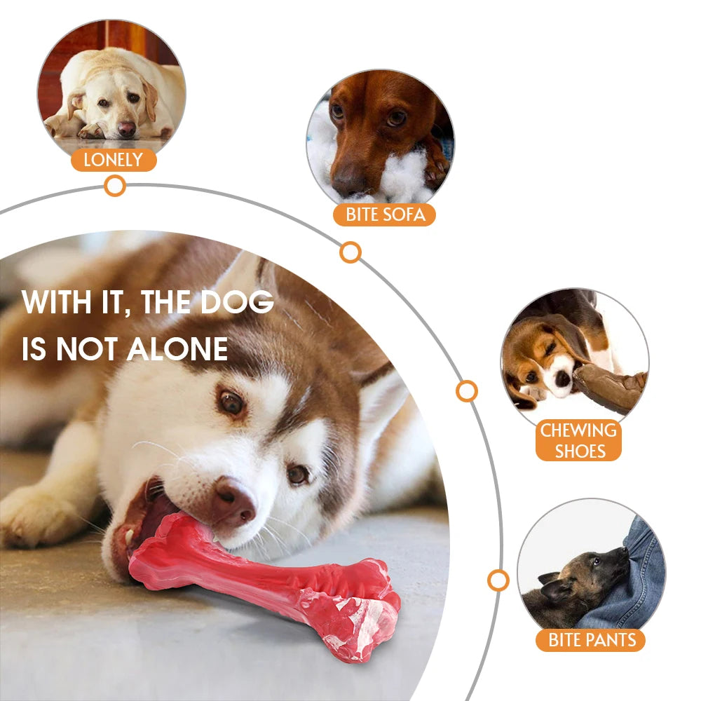 Dog Bone Chew Toy