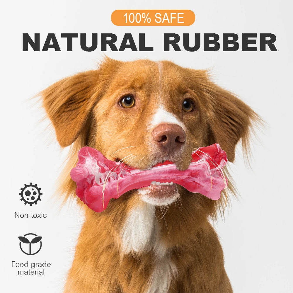 Dog Bone Chew Toy