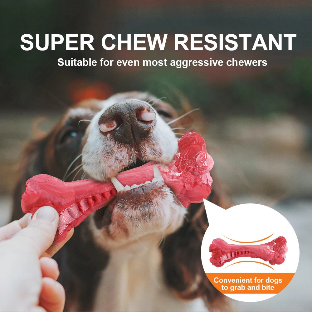 Dog Bone Chew Toy