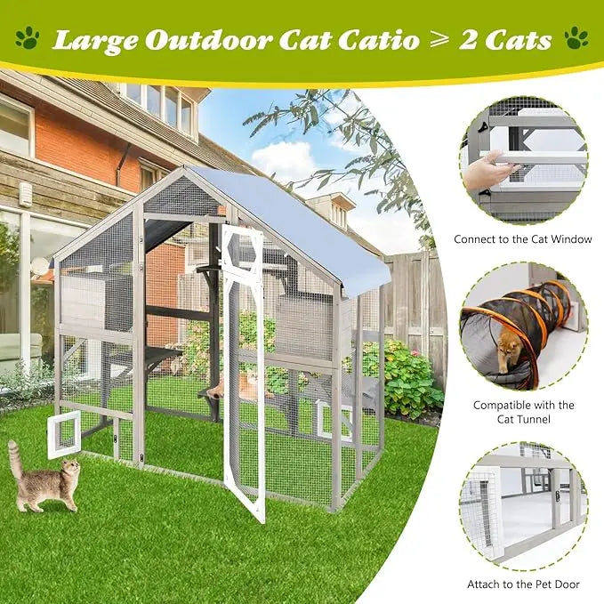 Large Cat Run with Bridges