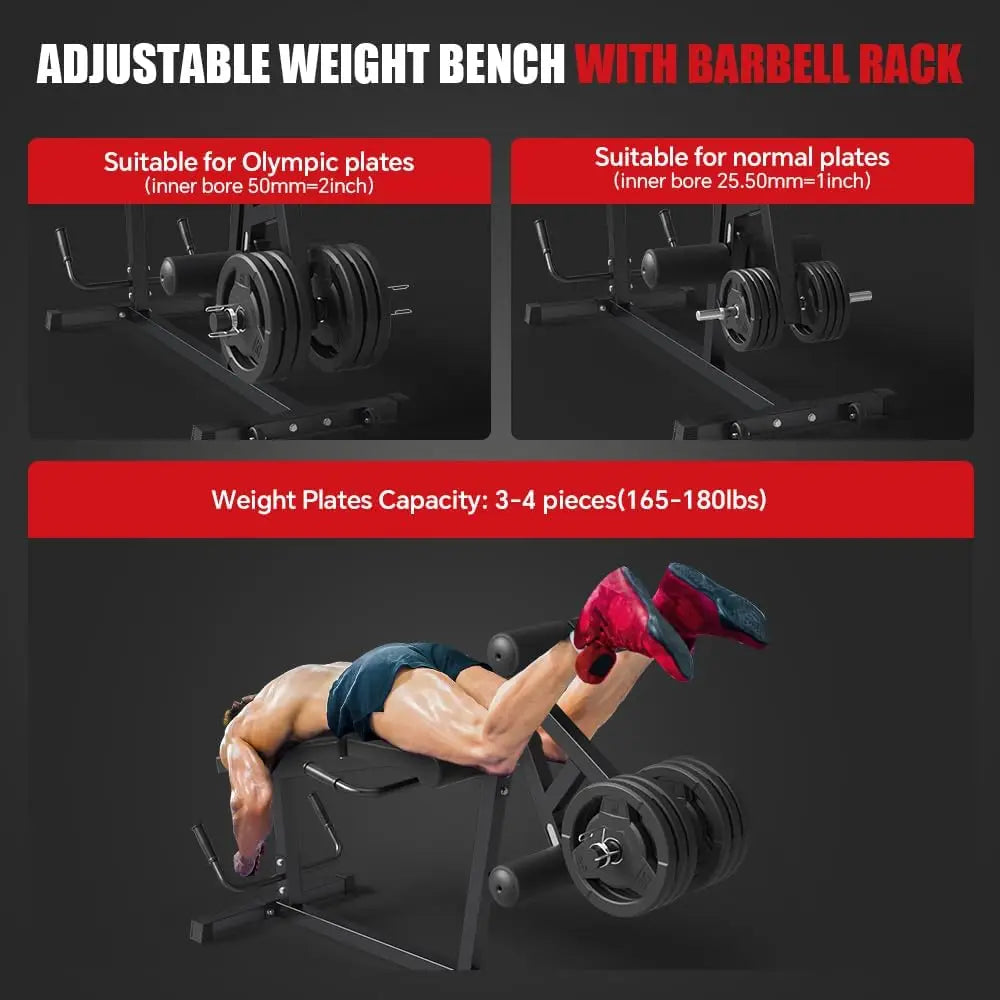 Leg Extension and Leg Curl Machine