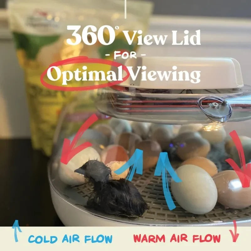 Egg Incubator for Hatching Chicks