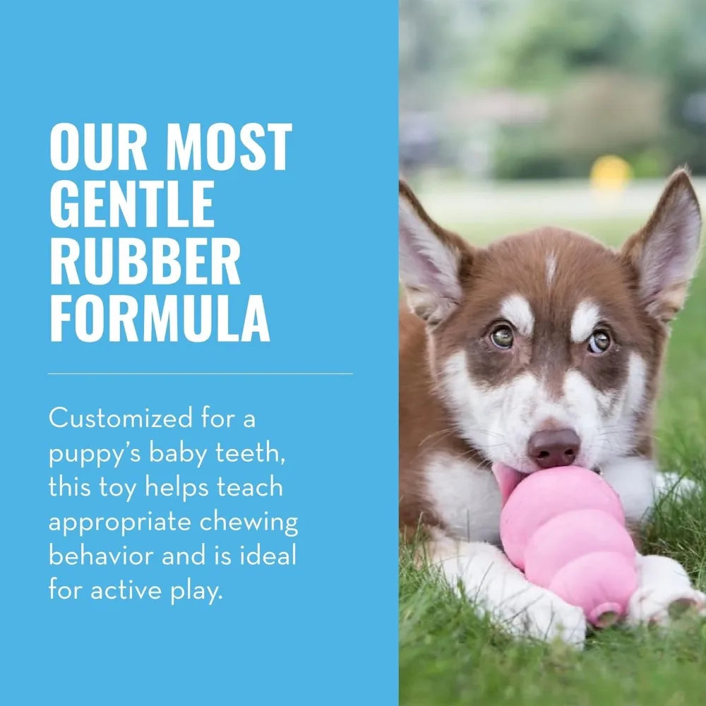 Rubber Chew Toy for Dogs