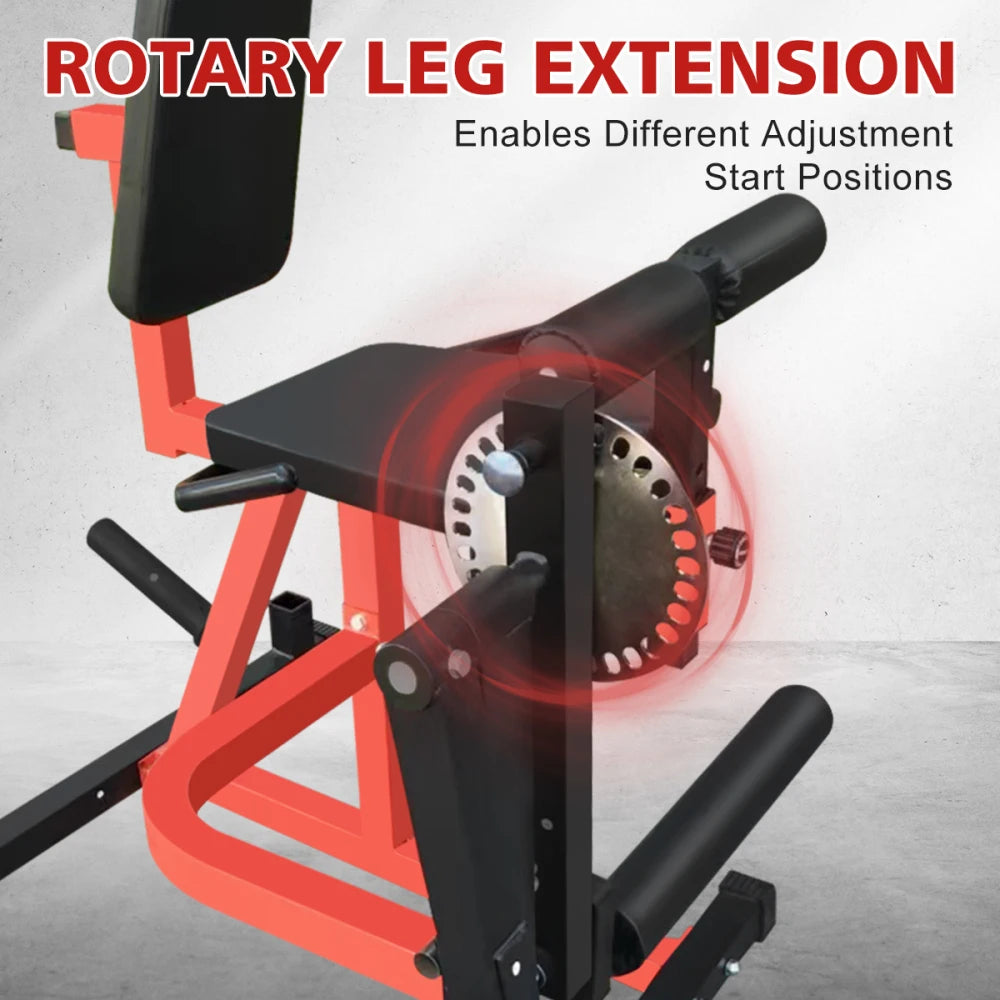 Adjustable Leg Extension and Curl Machine