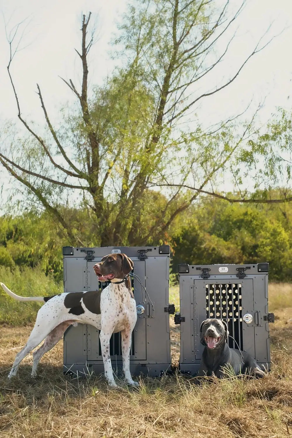 Aluminum Dog Crate
