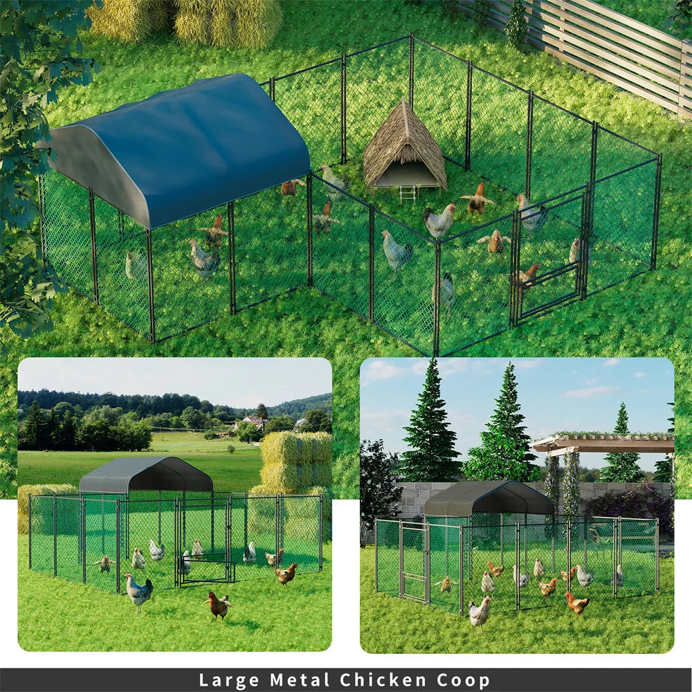 Chicken Run Coop