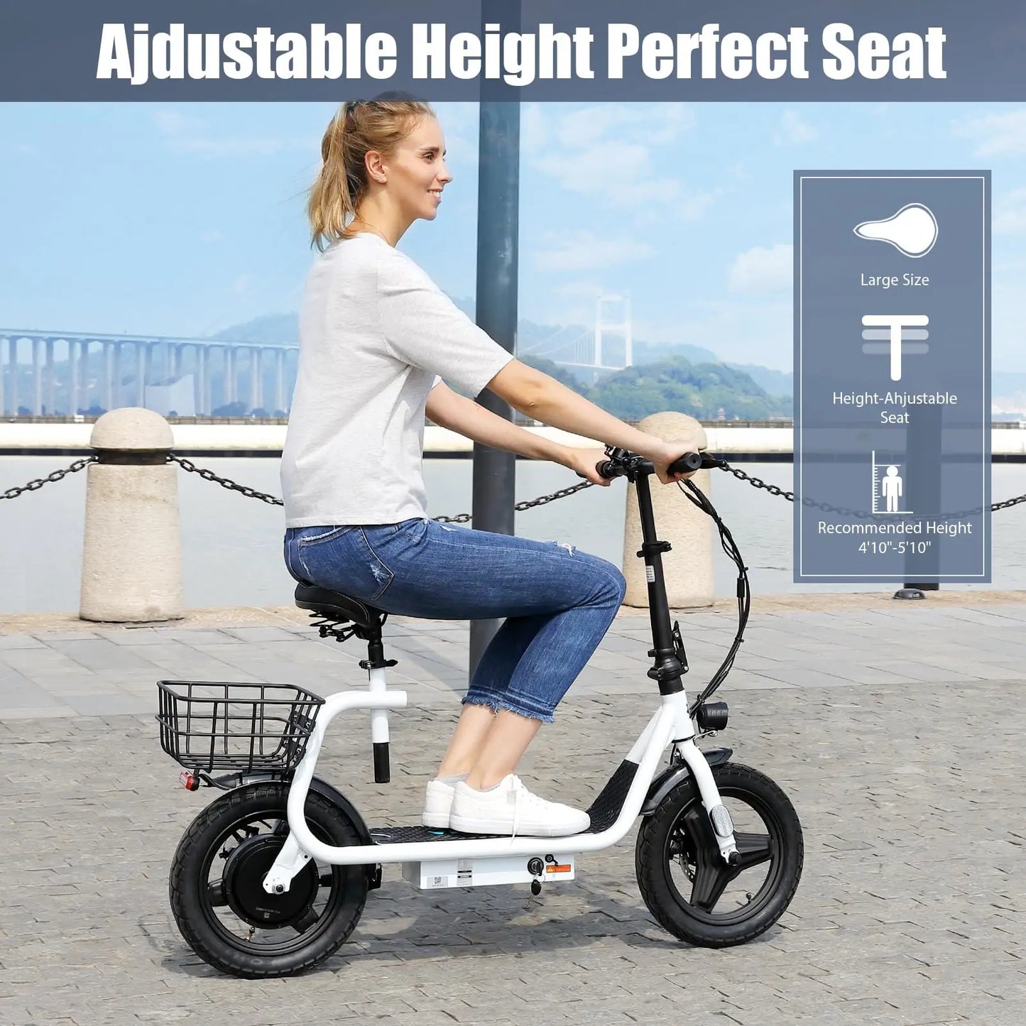 Electric Scooter 500W Motor with Seat