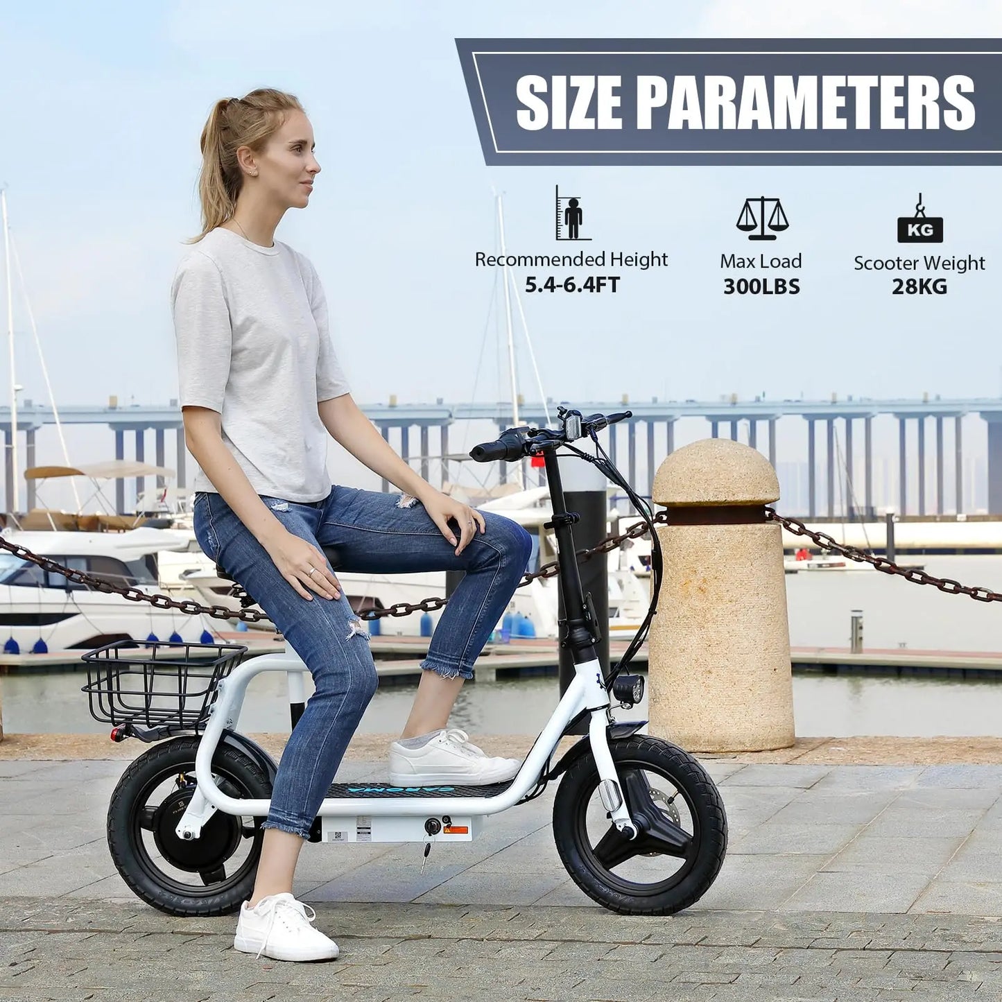 Electric Scooter 500W Motor with Seat