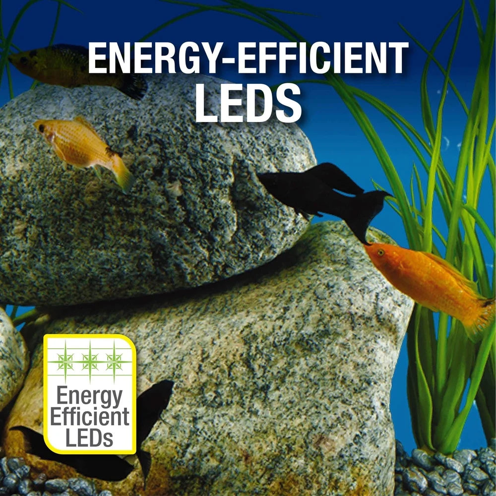 10 Gallon Glass Aquarium Kit