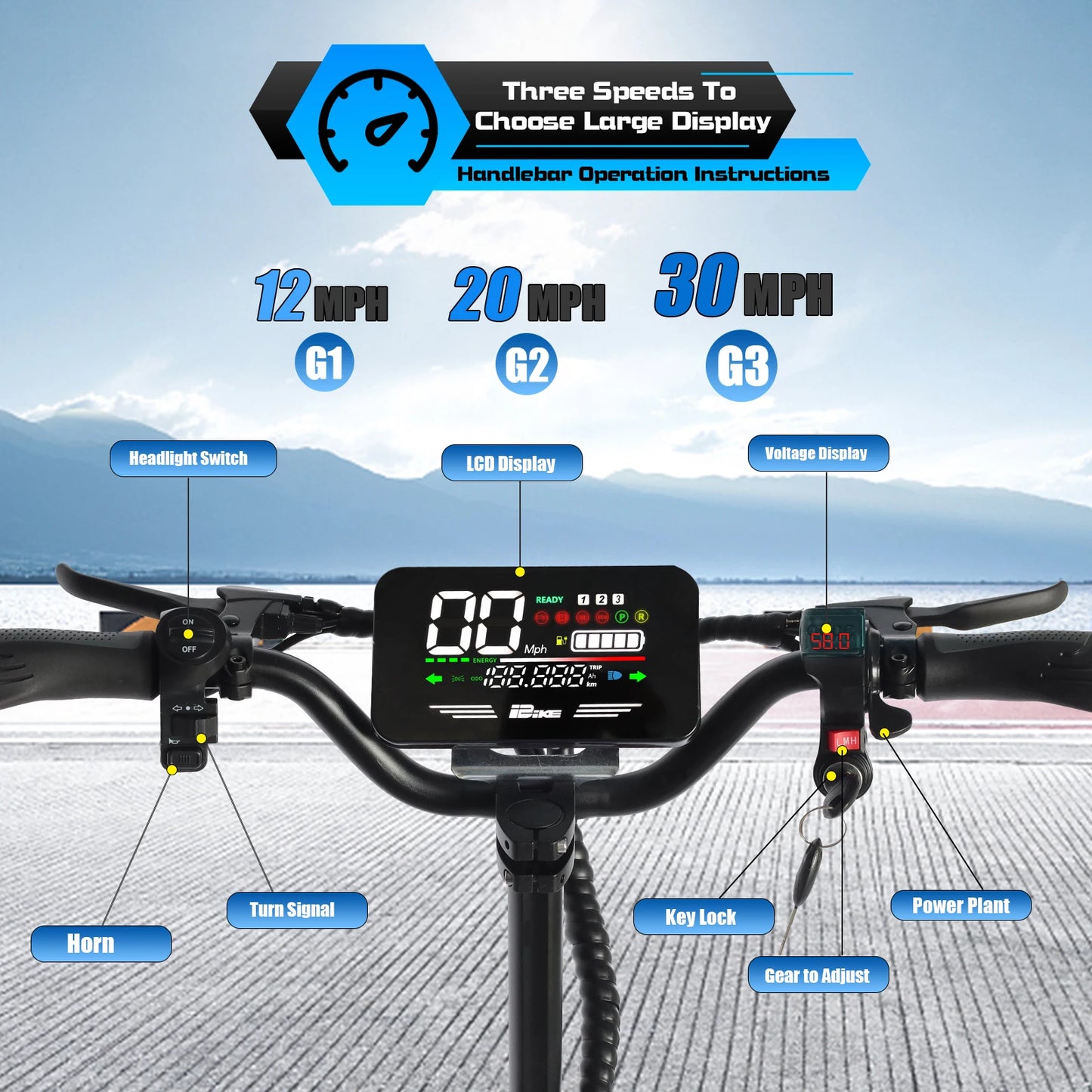 Adult Electric Folding Scooter