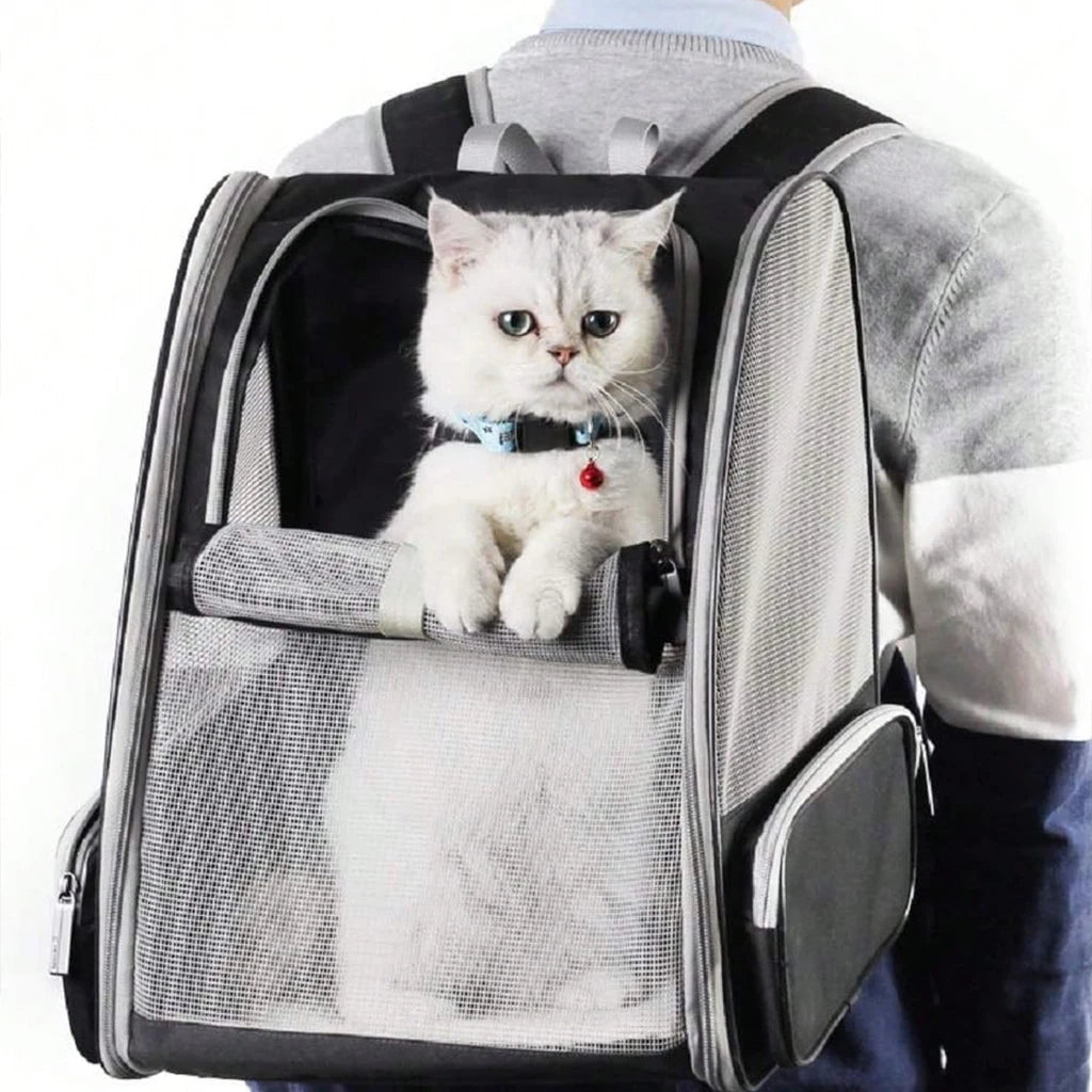 Pet Breathable Mesh Carrier Backpack