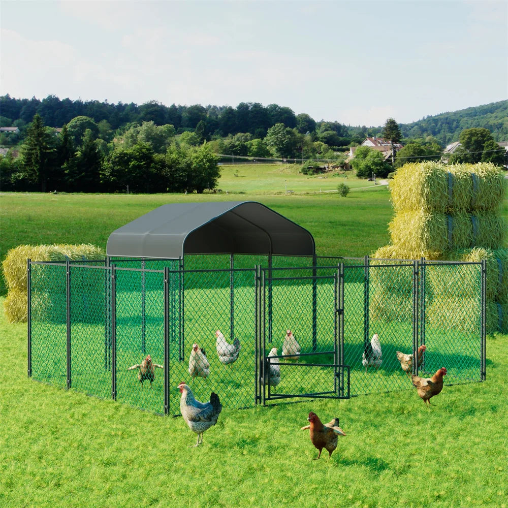 Chicken Run Coop
