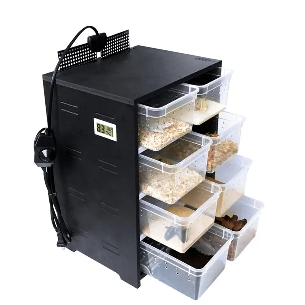 Reptile Breeding Tank