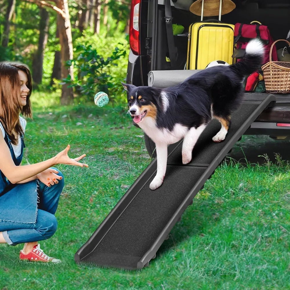 Folding Dog Ramp