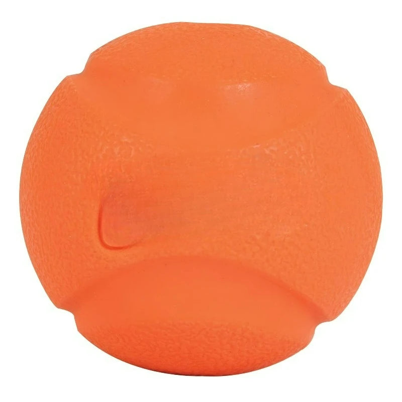 Rubber Fetch Dog Toy