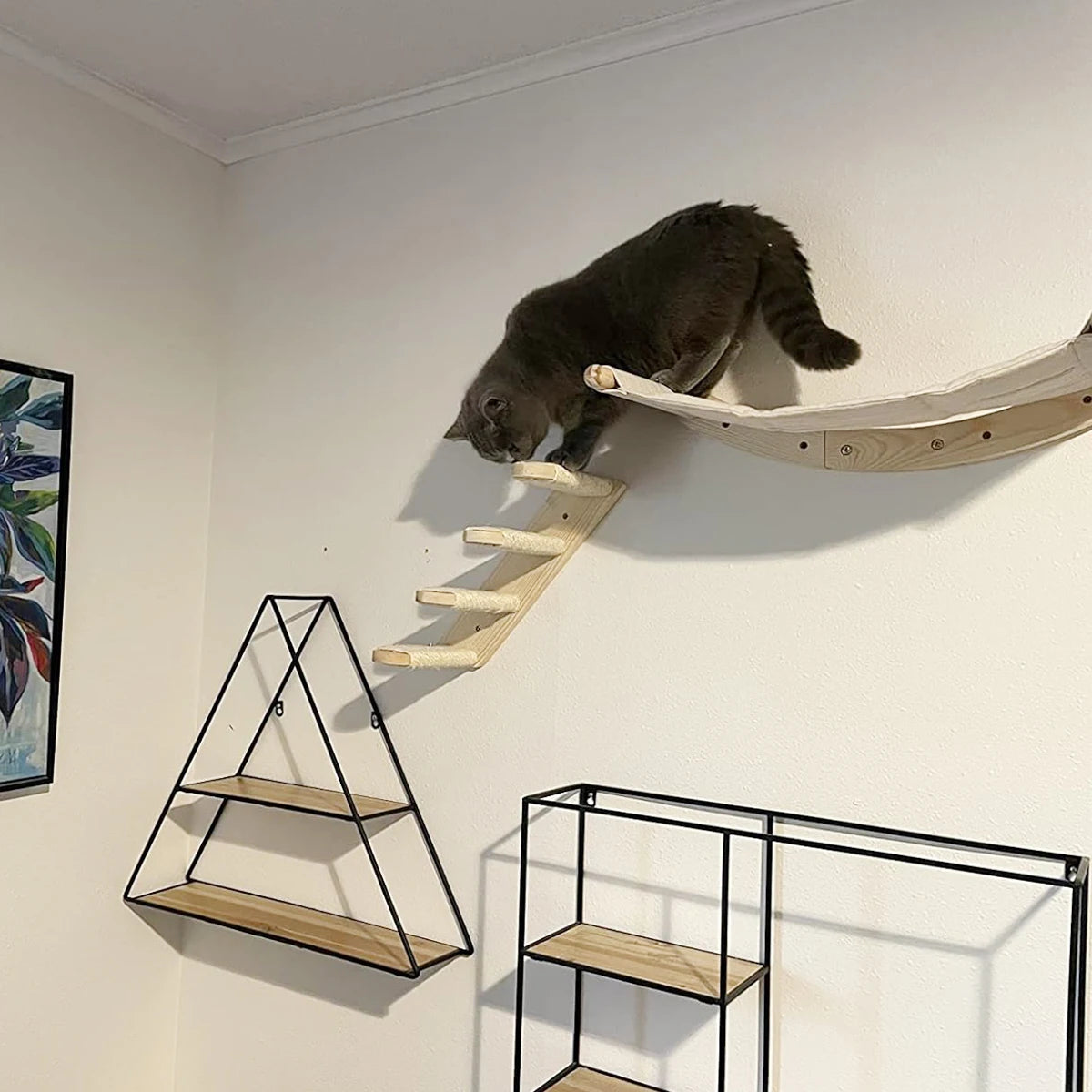 Cat Wall Furniture