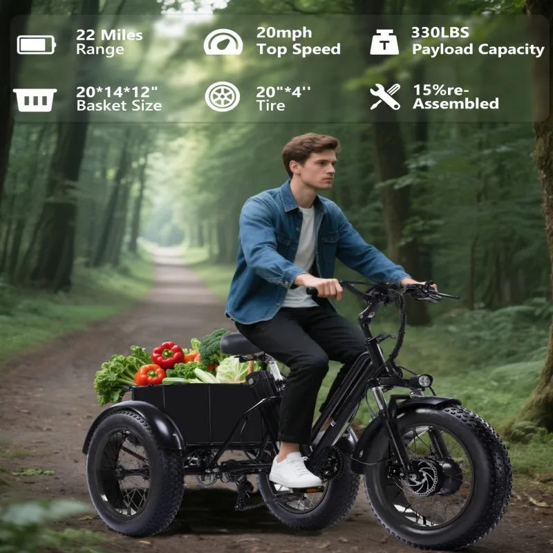 Electric Tricycle for Adults