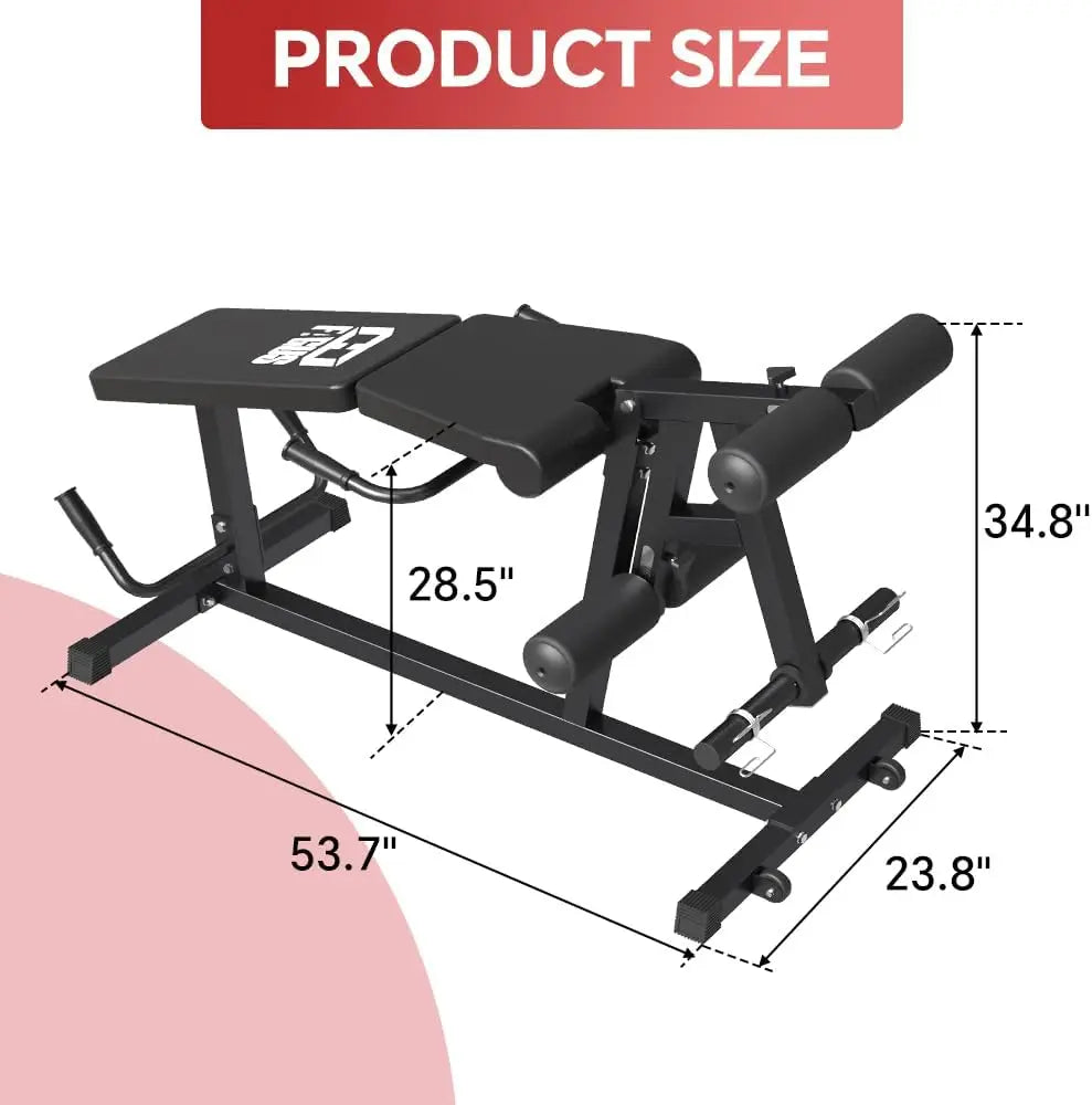 Leg Extension and Leg Curl Machine