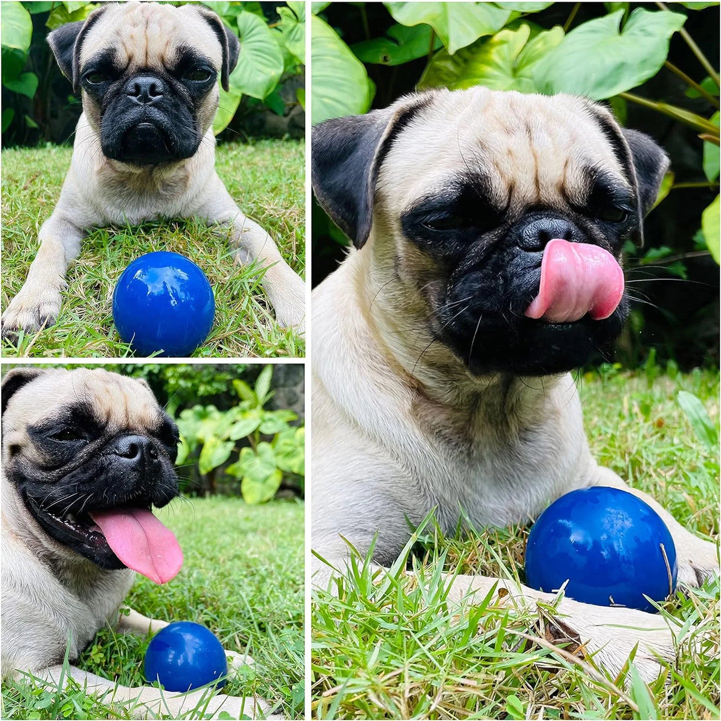 Super Chewy Dog Ball