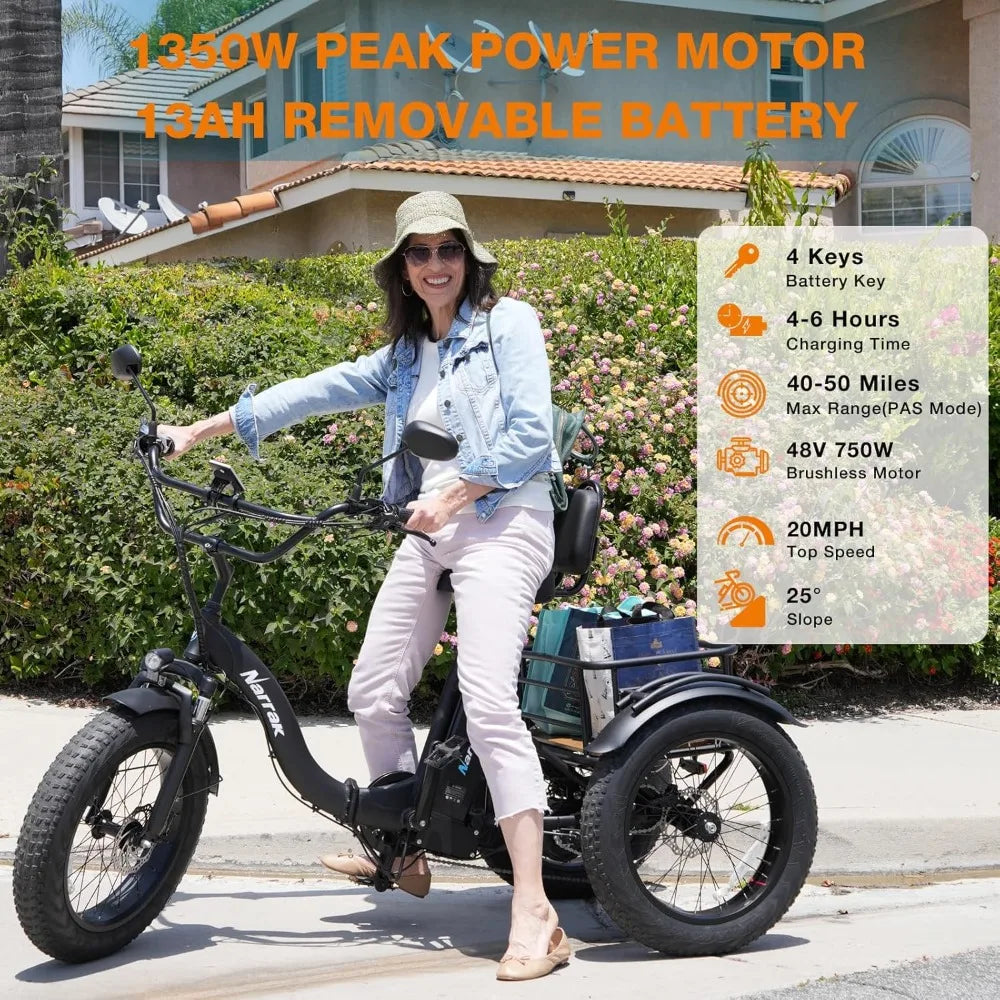 Aluminum Folding Fat Tire 3 Wheel Electric Trike