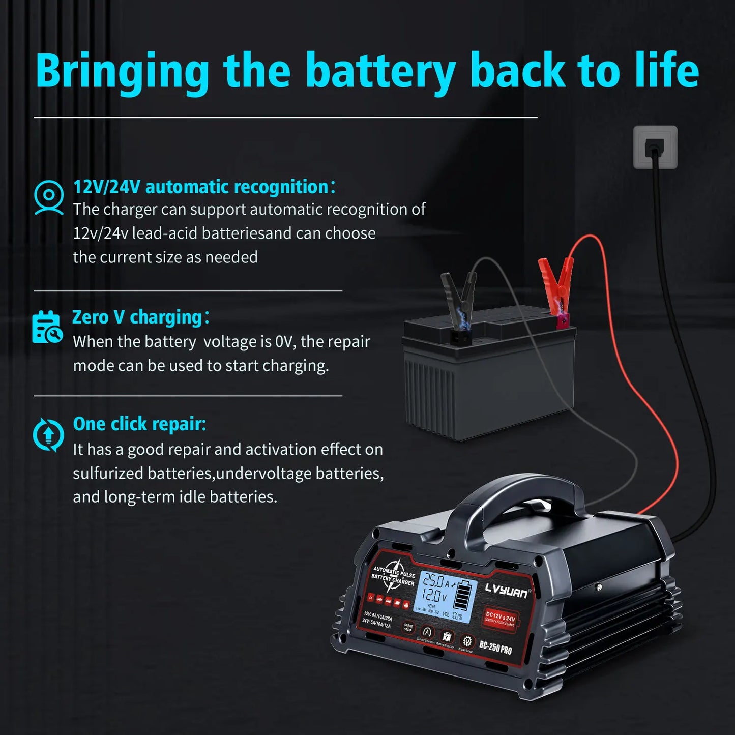 Auto DC12V 24V Battery Charger