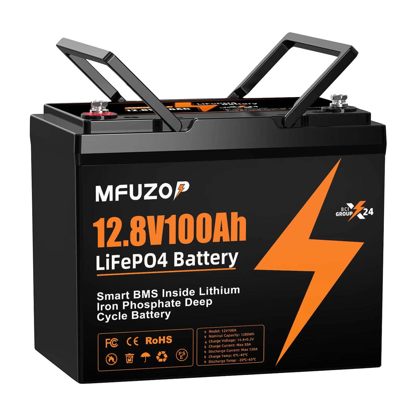 12V 100Ah LiFePO4 Battery