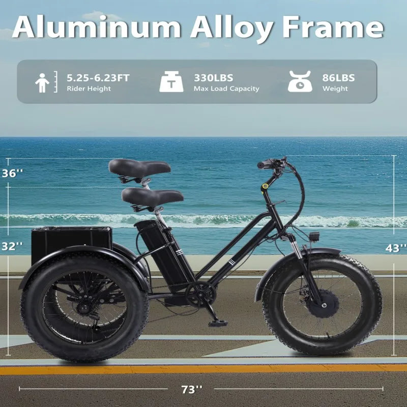 Electric Tricycle for Adults