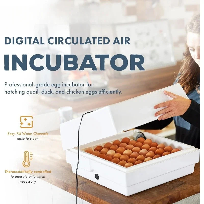 Circulated Air Egg Incubator with Automatic Turning