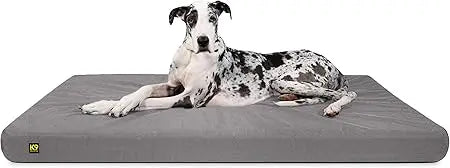 Orthopedic Rectangle Dog Bed