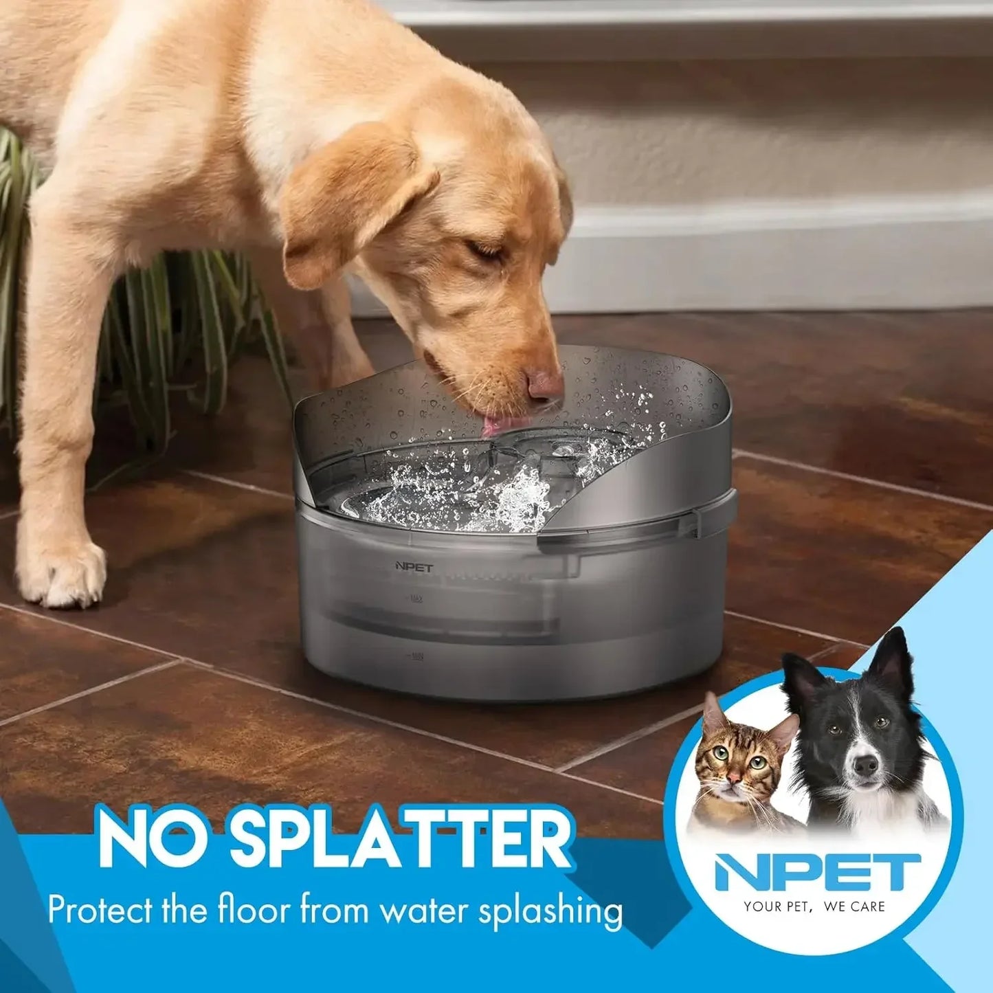 Automatic Dog Water Bowl with Splatter Guard