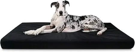 Orthopedic Rectangle Dog Bed