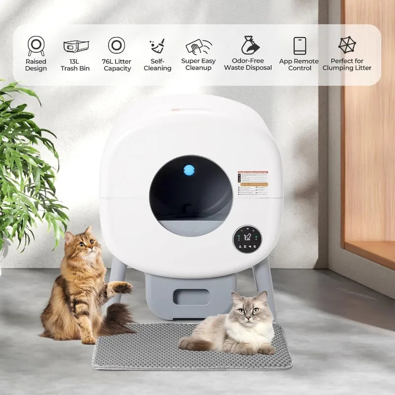 Litter Box Self Cleaning for Multiple Cats