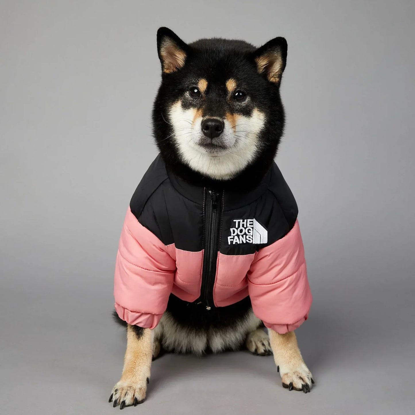 Dog Down Jacket