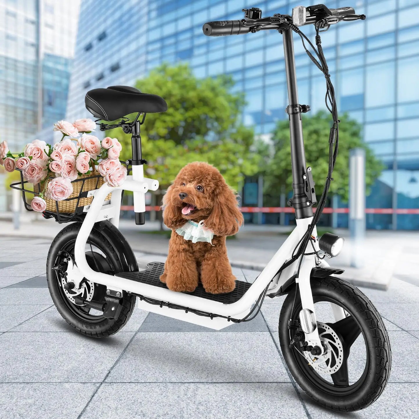 Electric Scooter 500W Motor with Seat