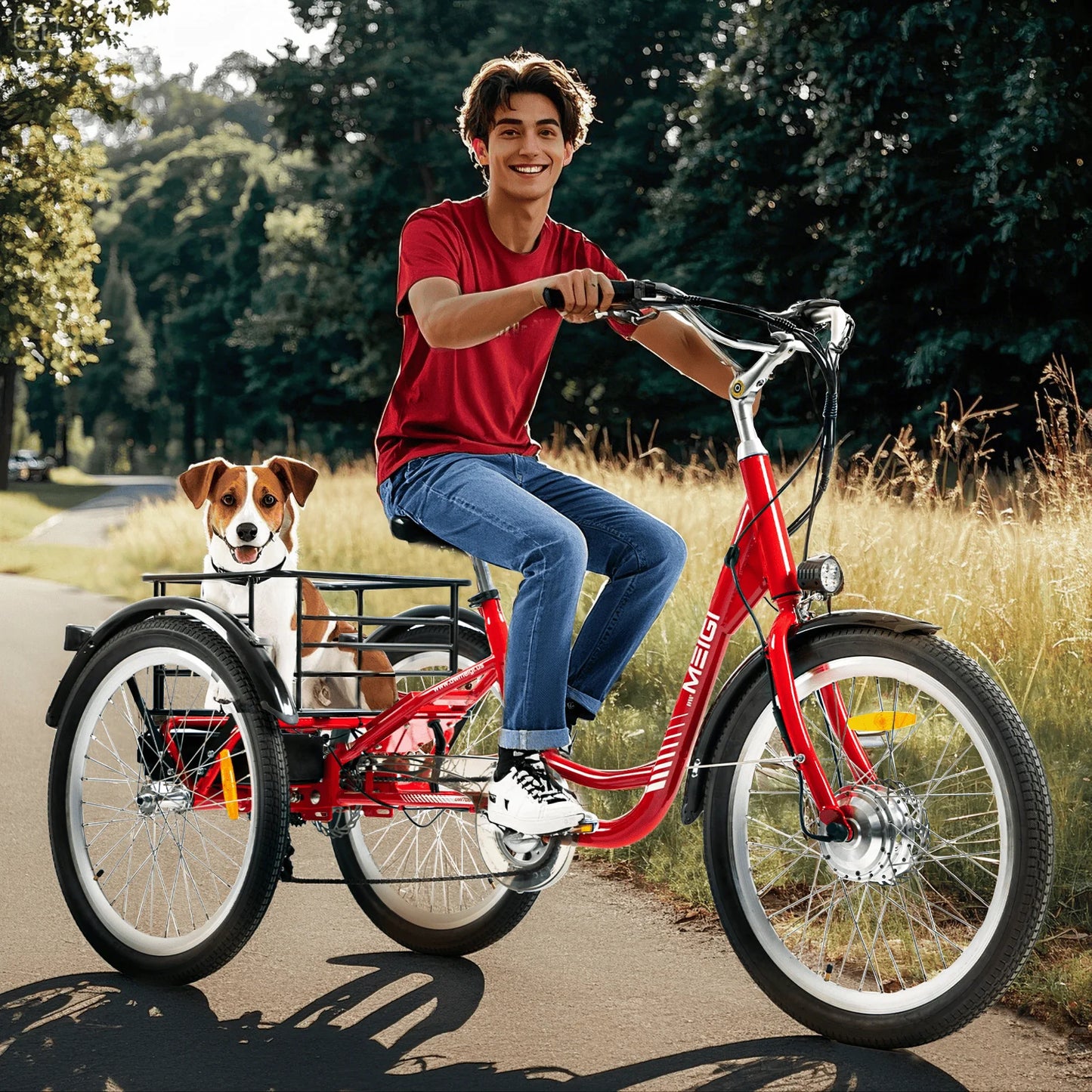 Electric Cargo Tricycle for Adult