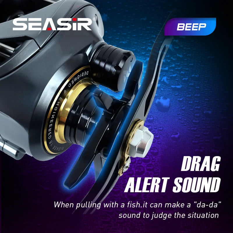 Baitcasting Reel