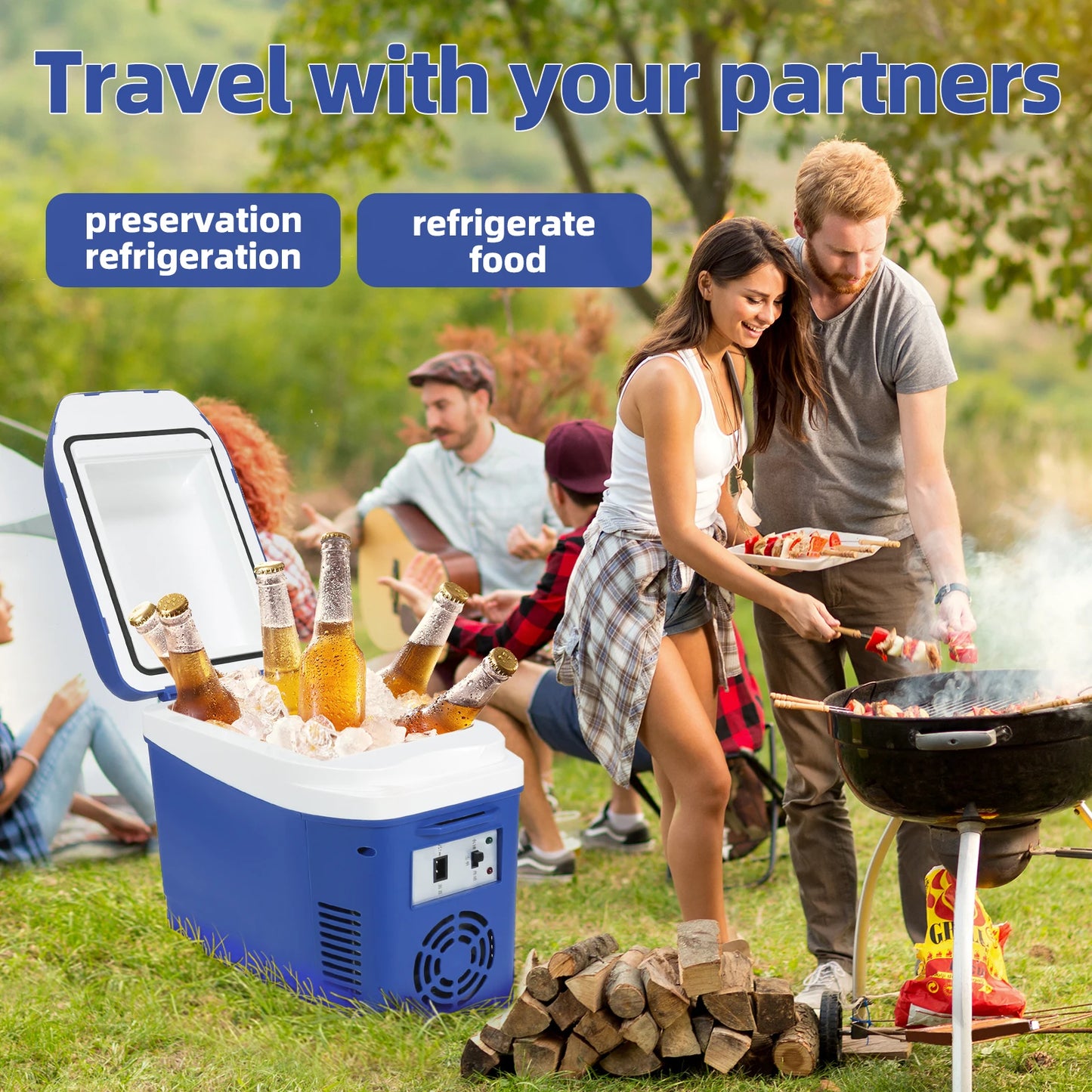 Camping Mini Fridge, DC 12V