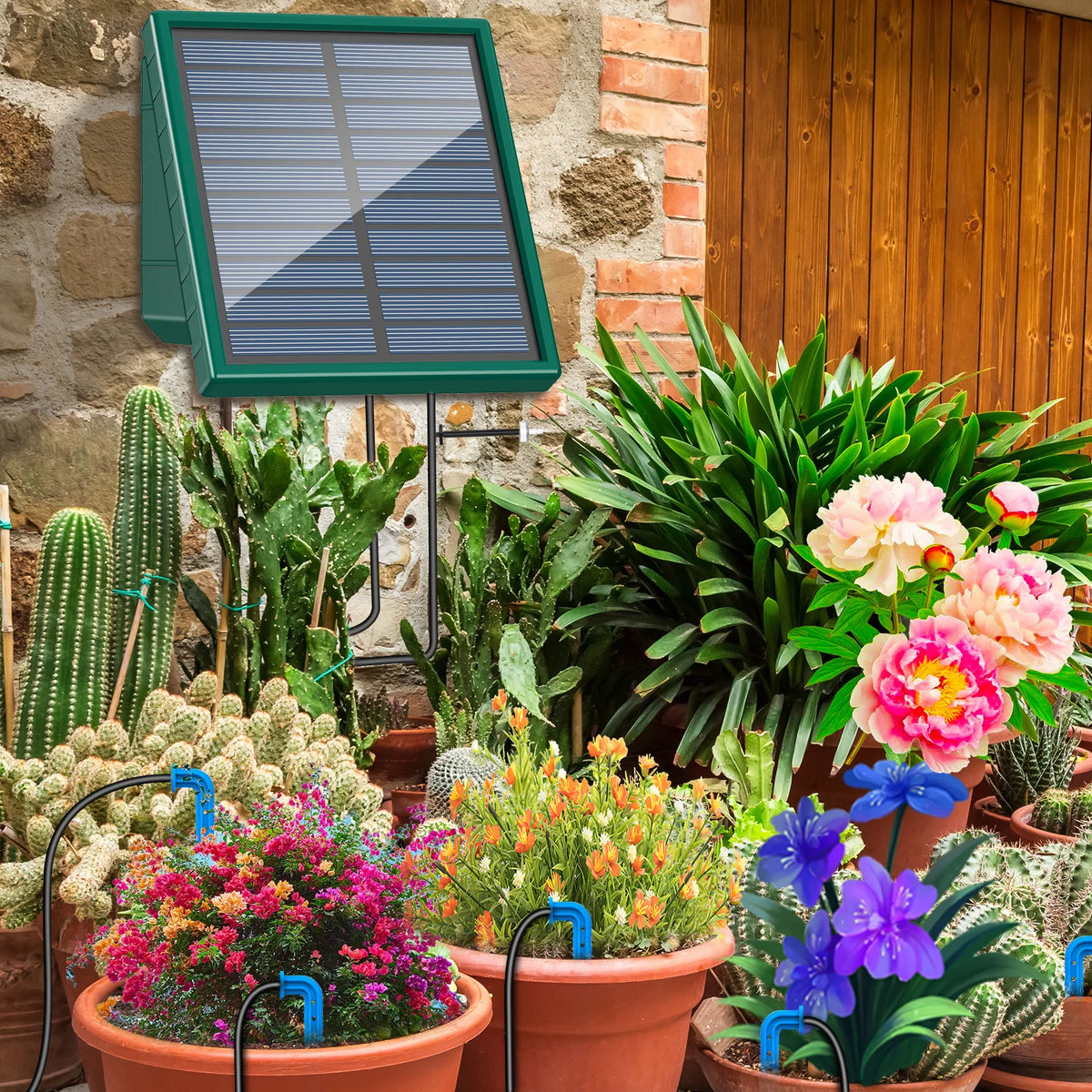 Solar Drip Irrigaton System