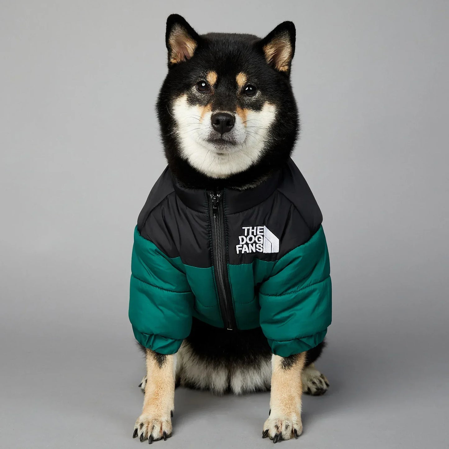 Dog Down Jacket