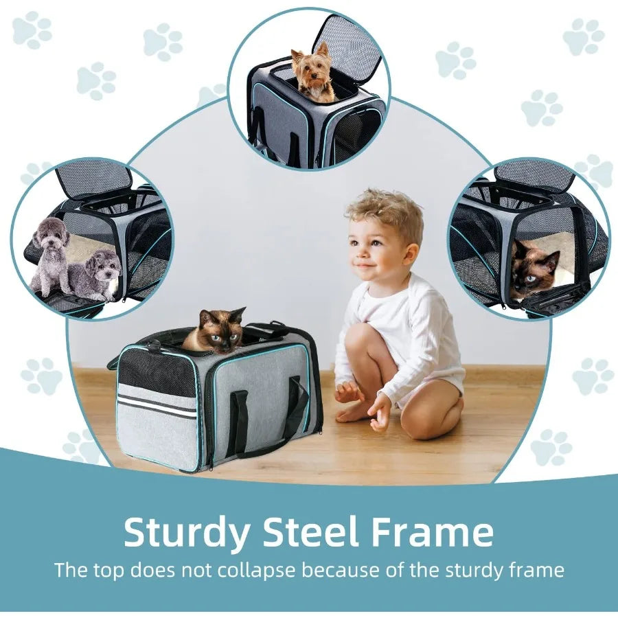 Airline approved expandable pet carrier