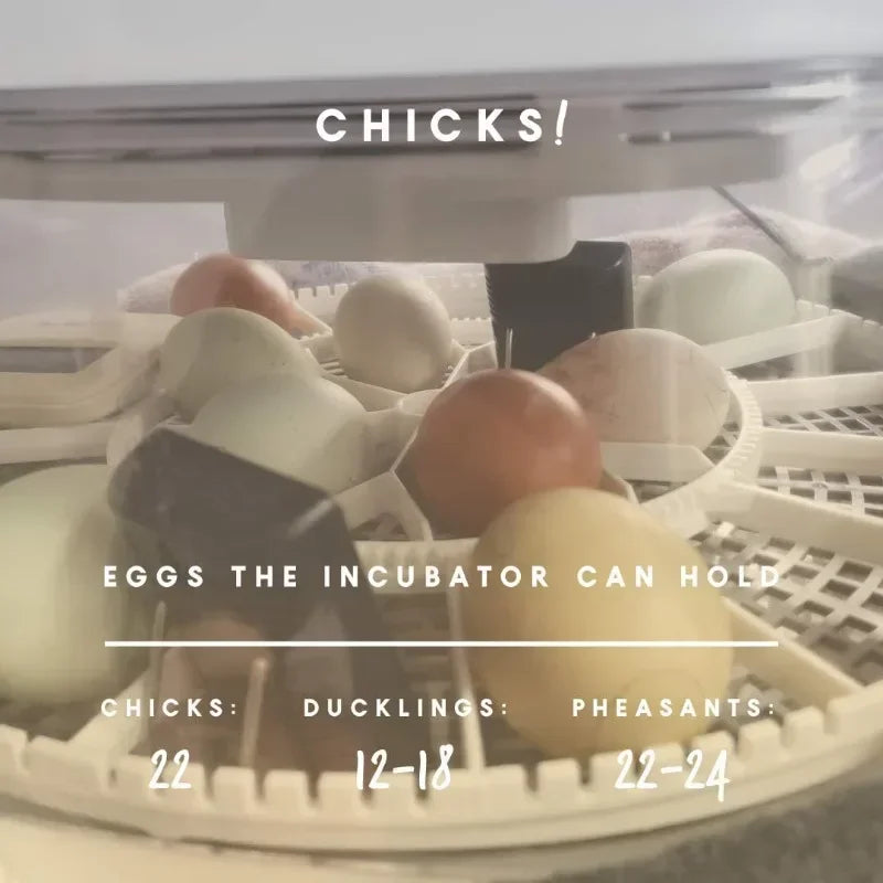 Egg Incubator - Holds 22 Eggs - Automatic Egg Turner