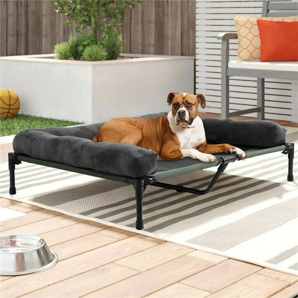 Elevated Pet Lounger