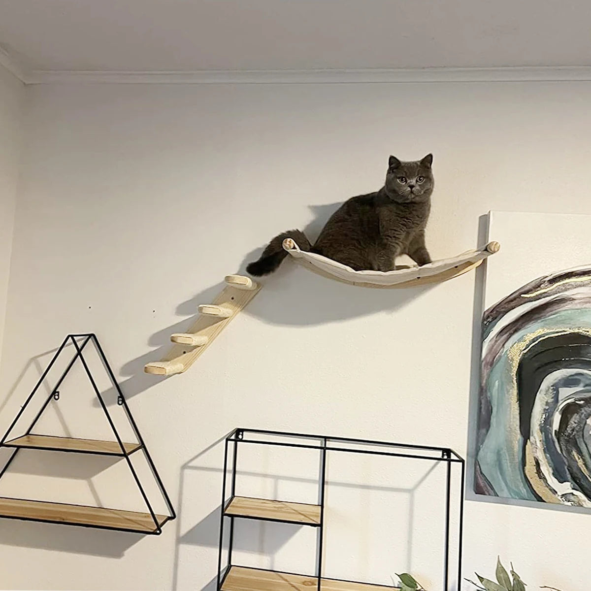 Cat Wall Furniture