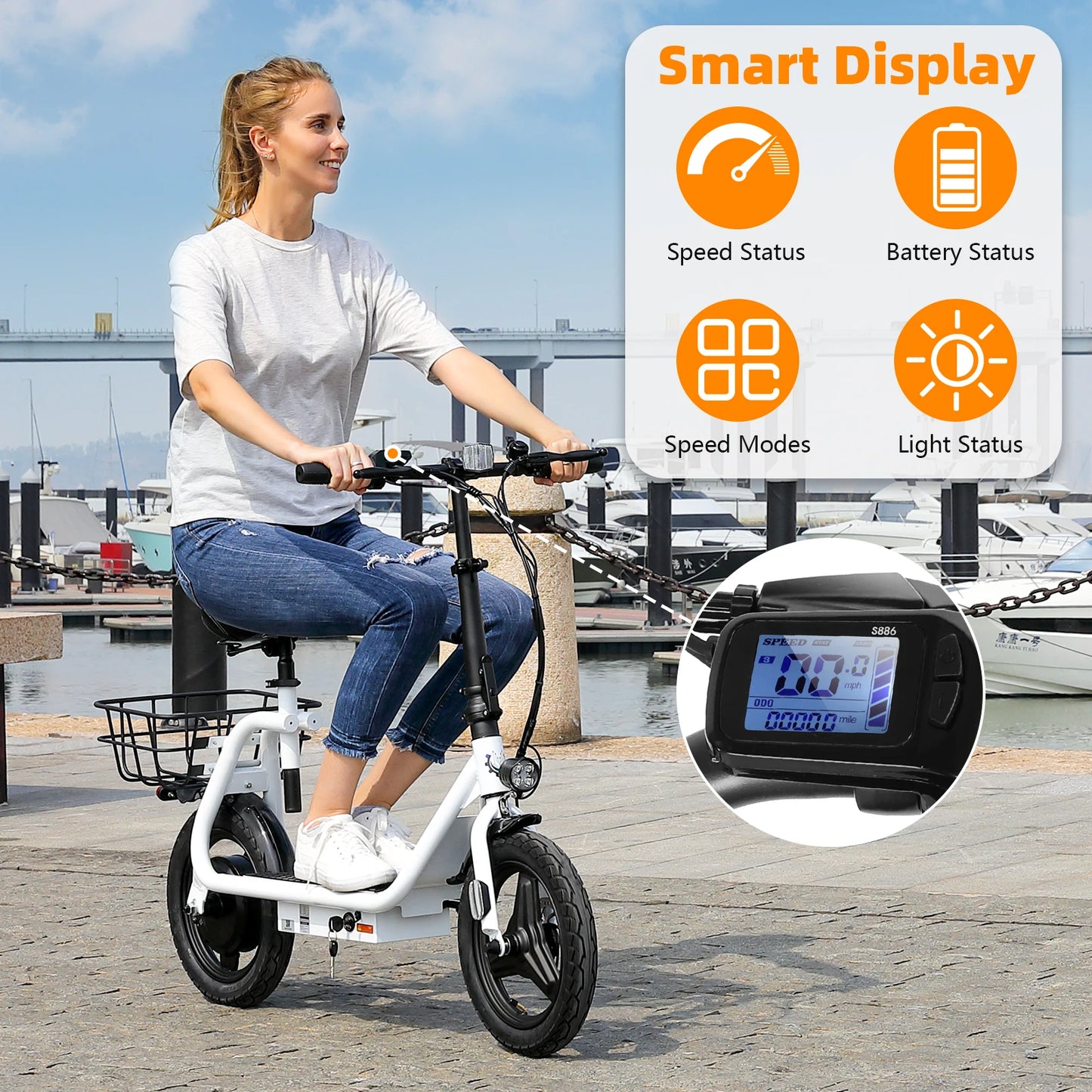 Electric Scooter 500W Motor with Seat