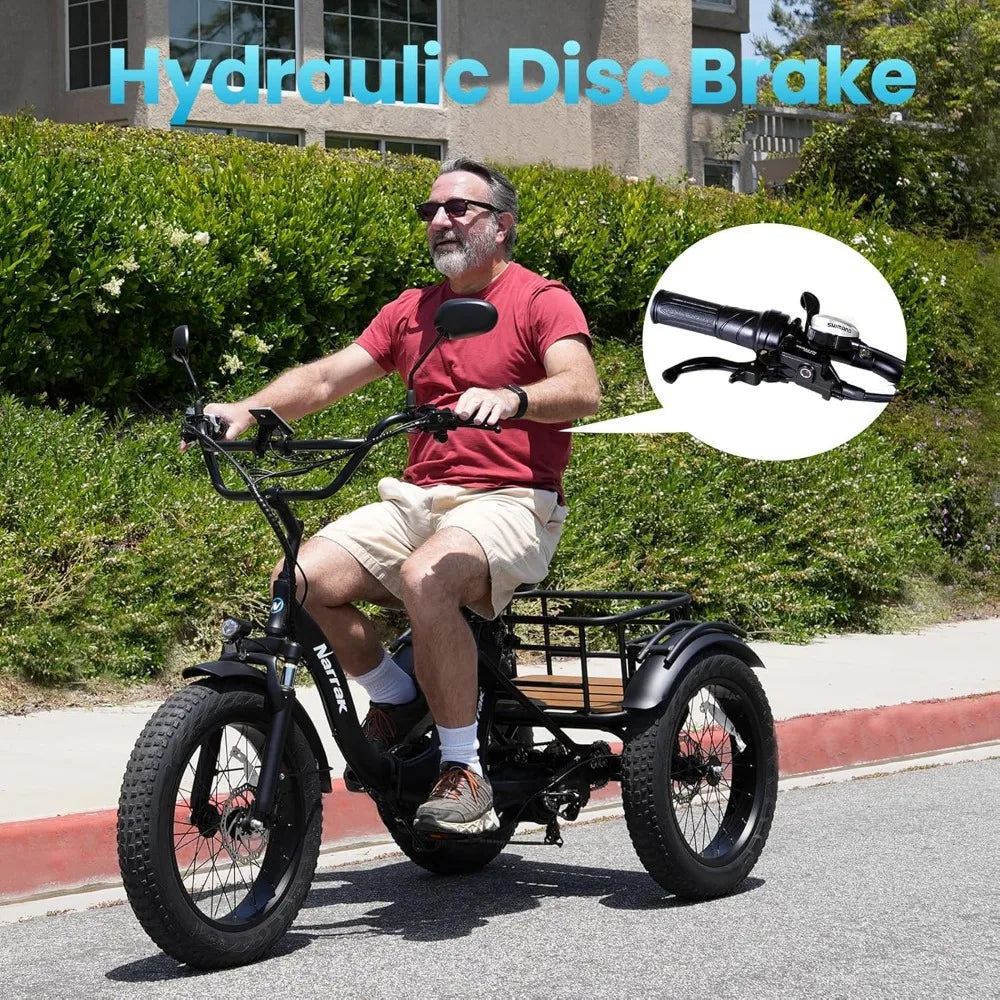 Aluminum Folding Fat Tire 3 Wheel Electric Trike