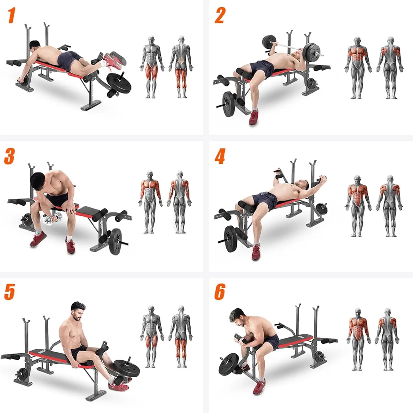 Standard Weight Bench Bench Press Set without weights