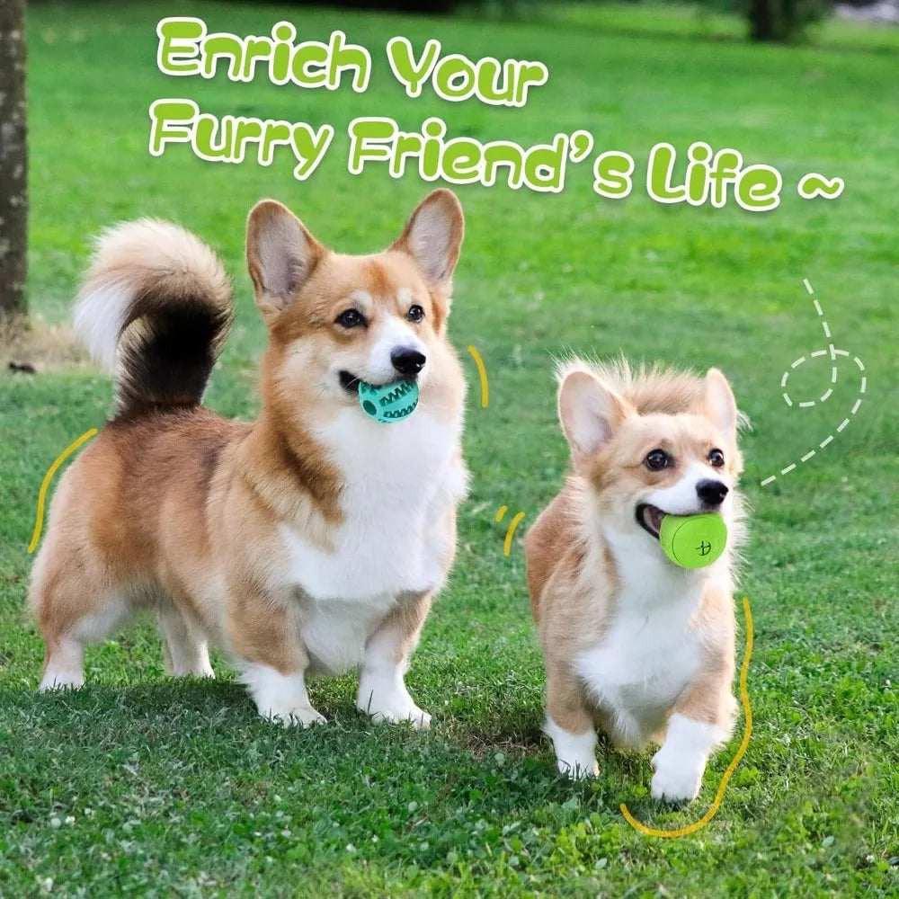 Interactive Dog Toys for Treat Dispensing / Slow Feeder