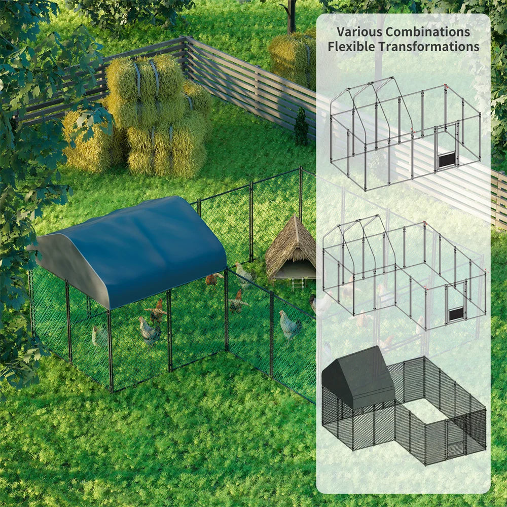 Chicken Run Coop